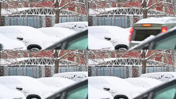 下雪中汽车上的积雪