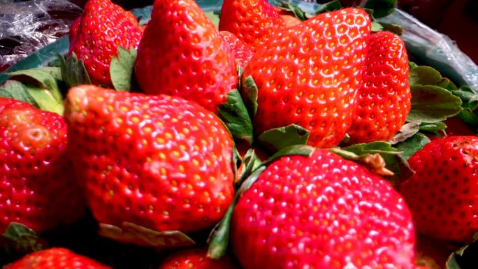 草莓 4K草莓酸甜可口穿梭慢镜头记录拍摄