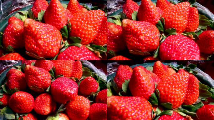草莓 4K草莓酸甜可口穿梭慢镜头记录拍摄