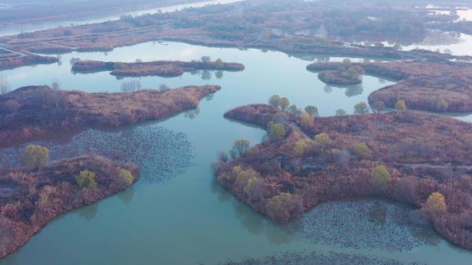 西安浐灞国家湿地公园