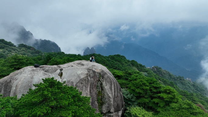 三清山森林高山松树云海道教天池自然林海