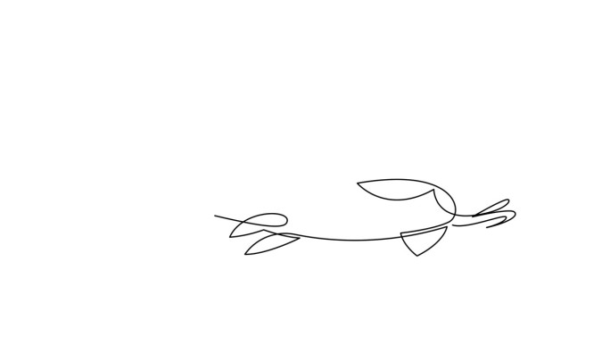 用连续的单线绘制鲤鱼的简单动画。