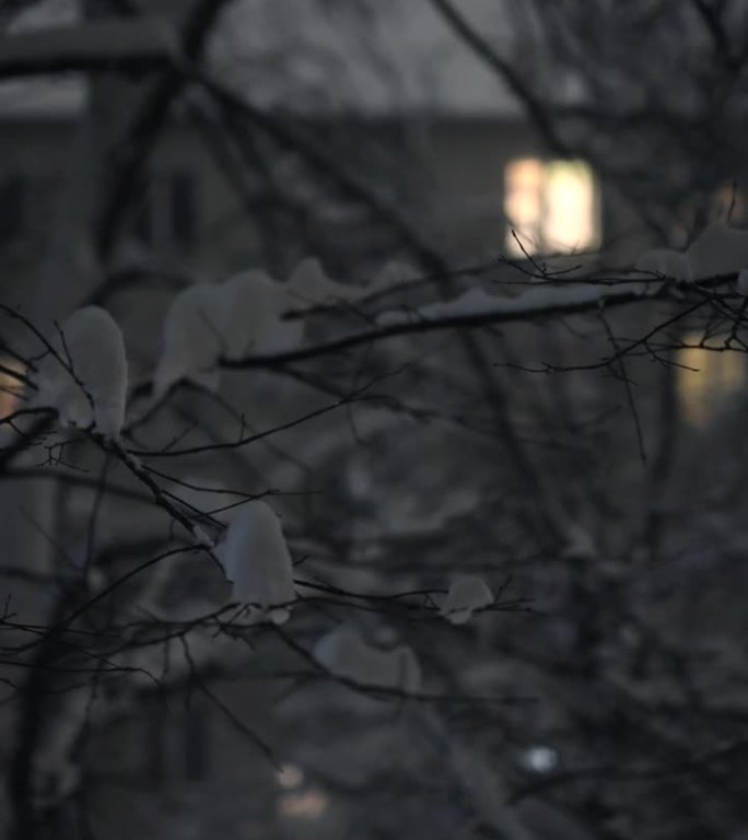 雪，夜，窗景