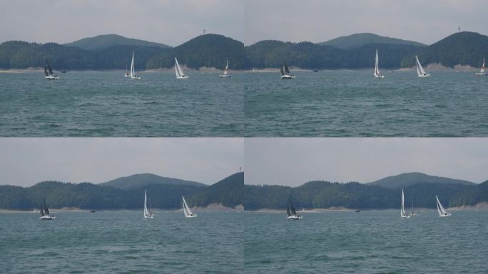 暑假在湖边。成群的帆船在蓝色的水面上