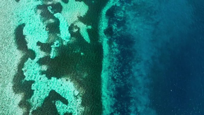 无人机拍摄的沙特阿拉伯红海亚喀巴湾珊瑚的视频。