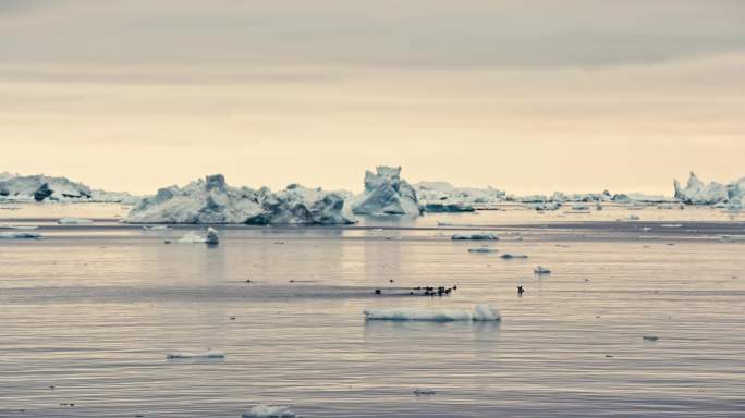 北极格陵兰唯美壮丽的峡湾冰山