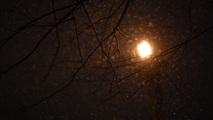 雪夜 路灯