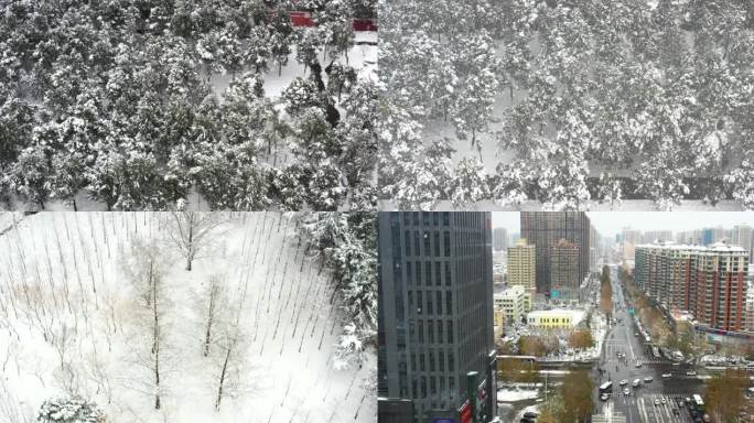 城市大雪