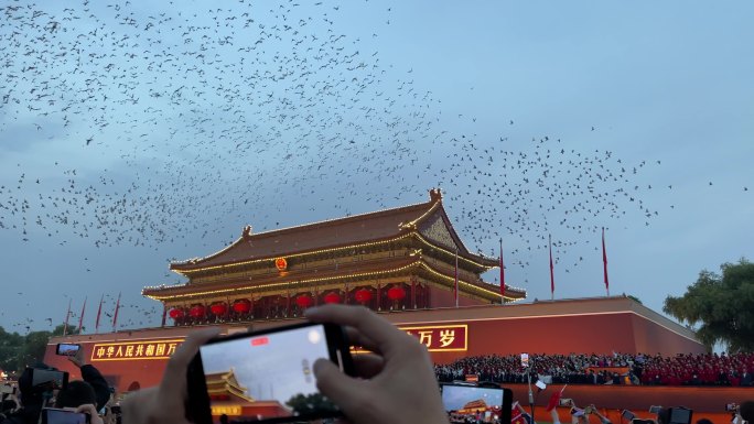 国庆节北京天安门放飞和平鸽