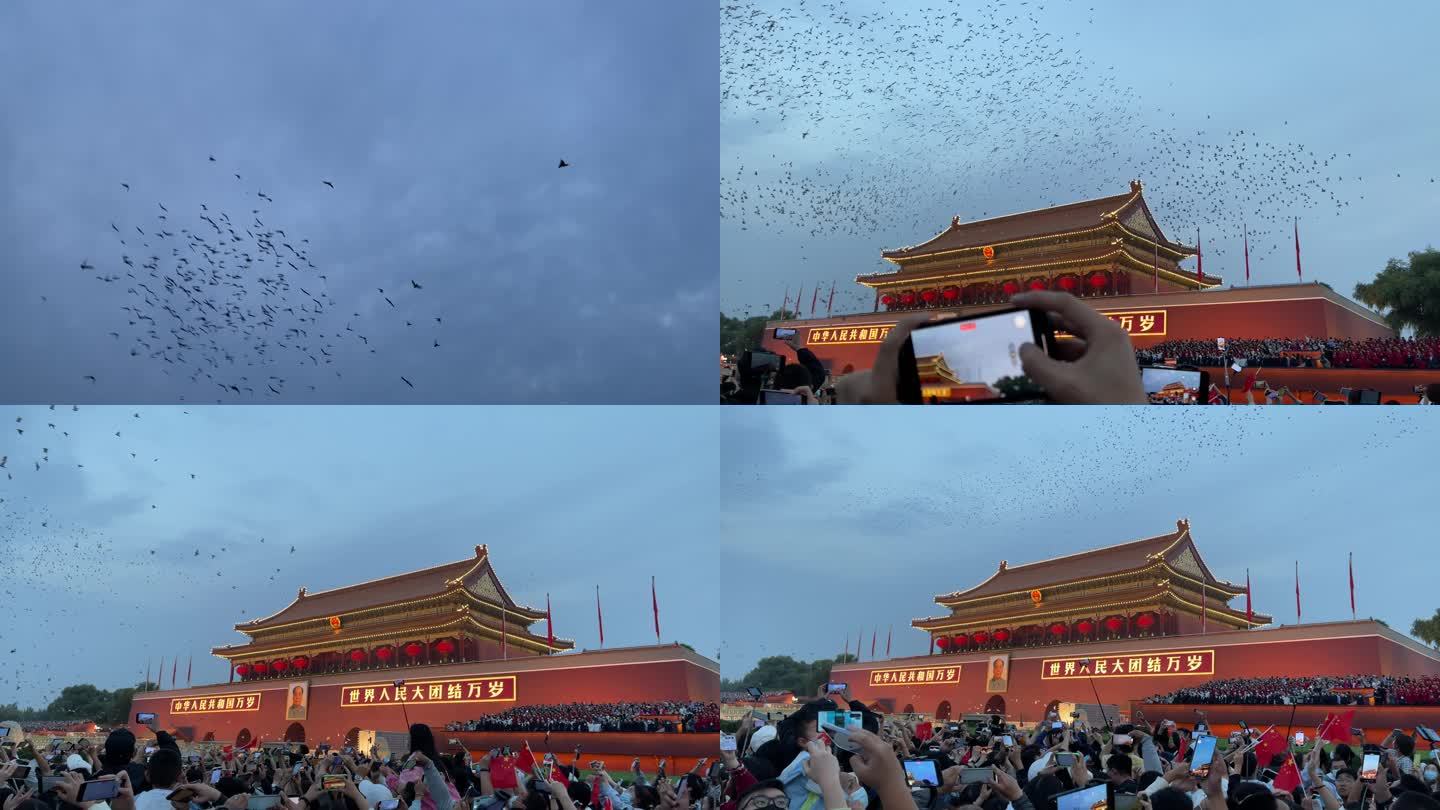 国庆节北京天安门放飞和平鸽