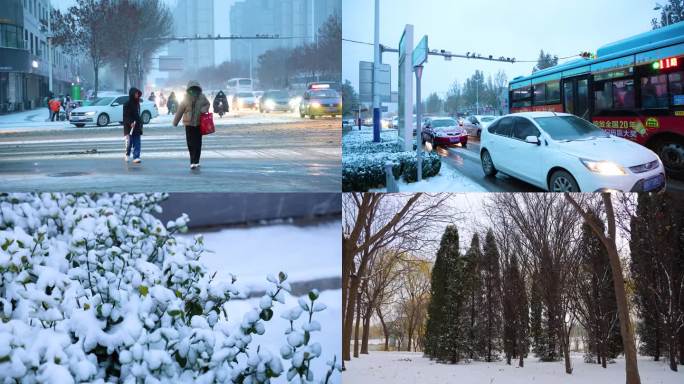 雪天早晨下雪行车雪后出行安全雪景树林