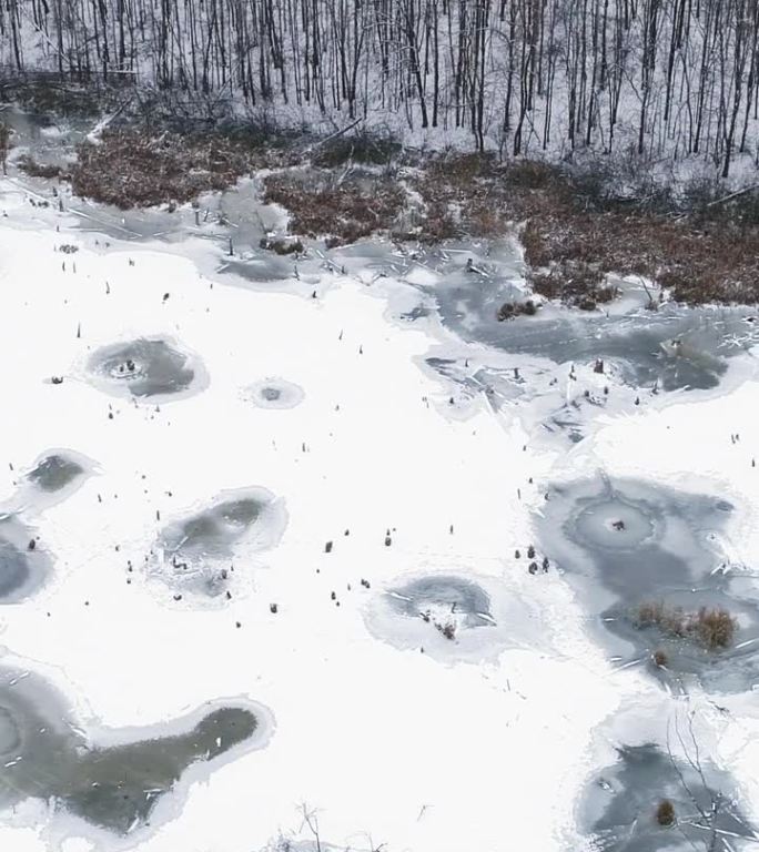 垂直鸟瞰图冬季雪林湖