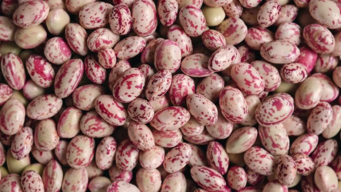 蔓越莓bean。新鲜的有机博洛蒂豆种子在转盘上旋转。时尚的现代美食背景。红色的颜色。创意美食视频。杂