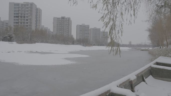 北京下雪4K实拍素材45-25
