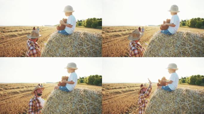一个人站在麦田里，指着麦田里美丽的夏日大自然。男孩坐在干草堆上，看着远处，手里拿着玩具泰迪熊。亲子休