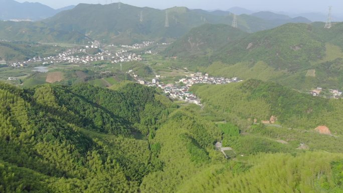 径山竹林山景