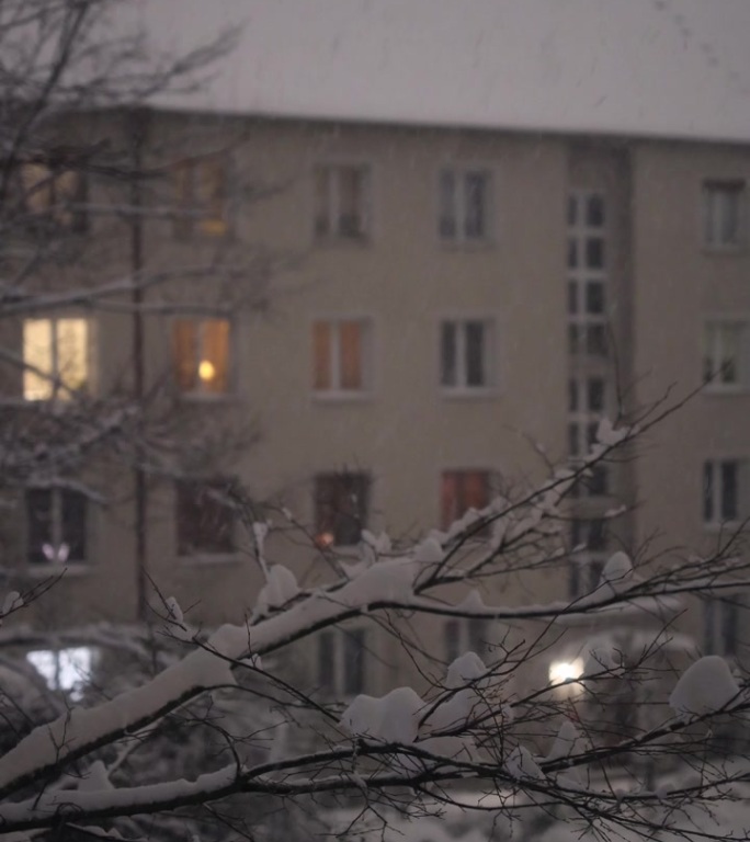 雪，夜，窗景竖版城市雪景