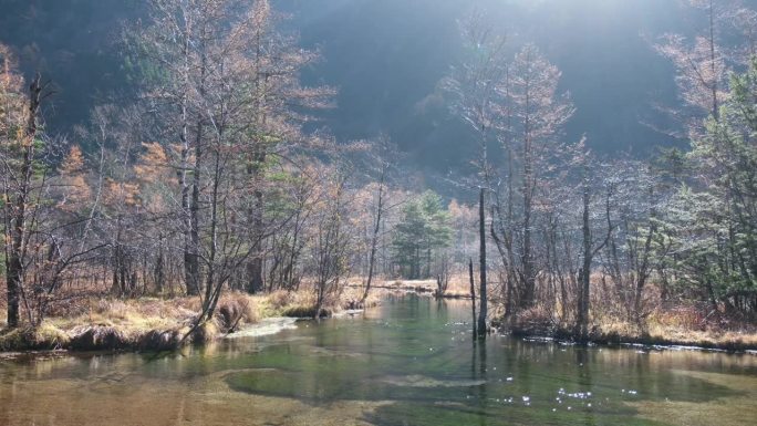 在日本上高知县，一个有着美丽秋景的田代池塘