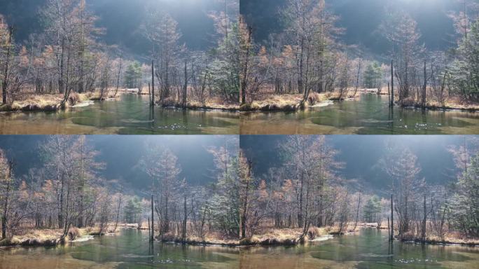 在日本上高知县，一个有着美丽秋景的田代池塘