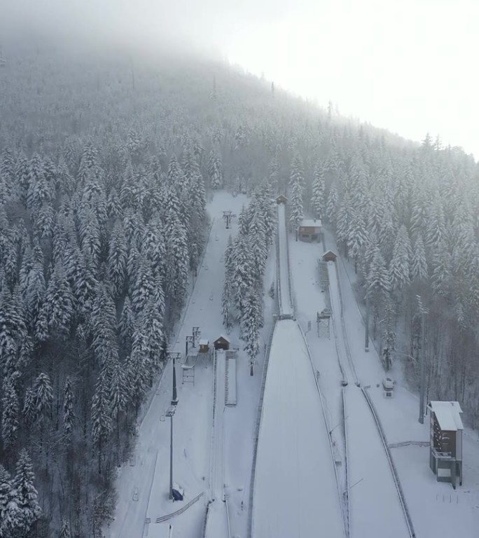 滑雪飞山在山上的冬季森林，空中，波兰