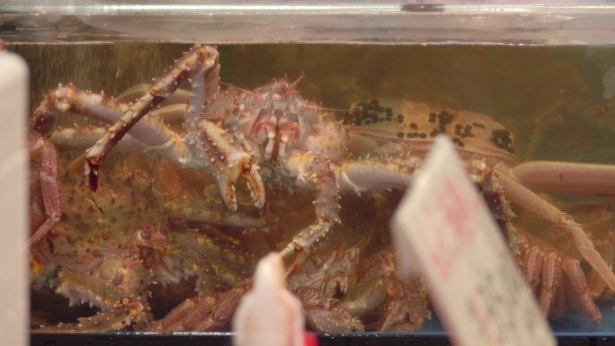 函馆浅一鱼市的新鲜螃蟹