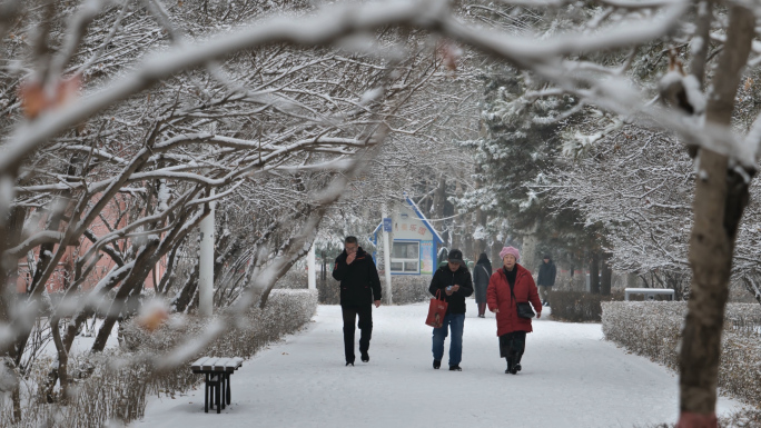 呼和浩特青城公园初雪