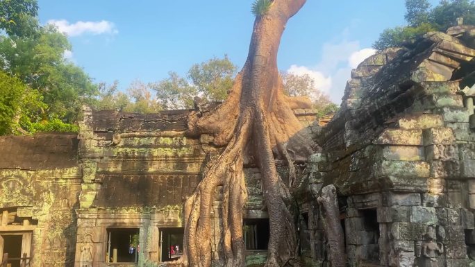 塔普罗姆，一座神秘的高棉文明寺庙，位于柬埔寨吴哥的领土上