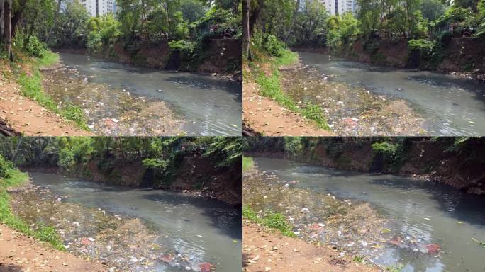 城市河流中污水污染和废物处置的严重后果
