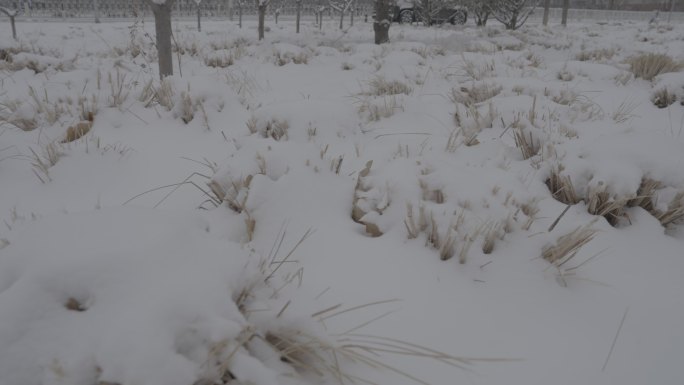 北京下雪4K实拍素材45-41