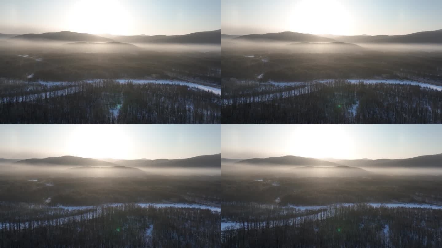 冷空气笼罩的林海雪原朝阳