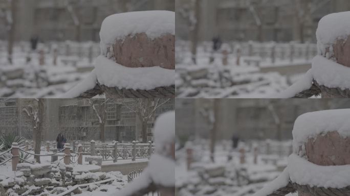 北京下雪4K实拍素材45-21