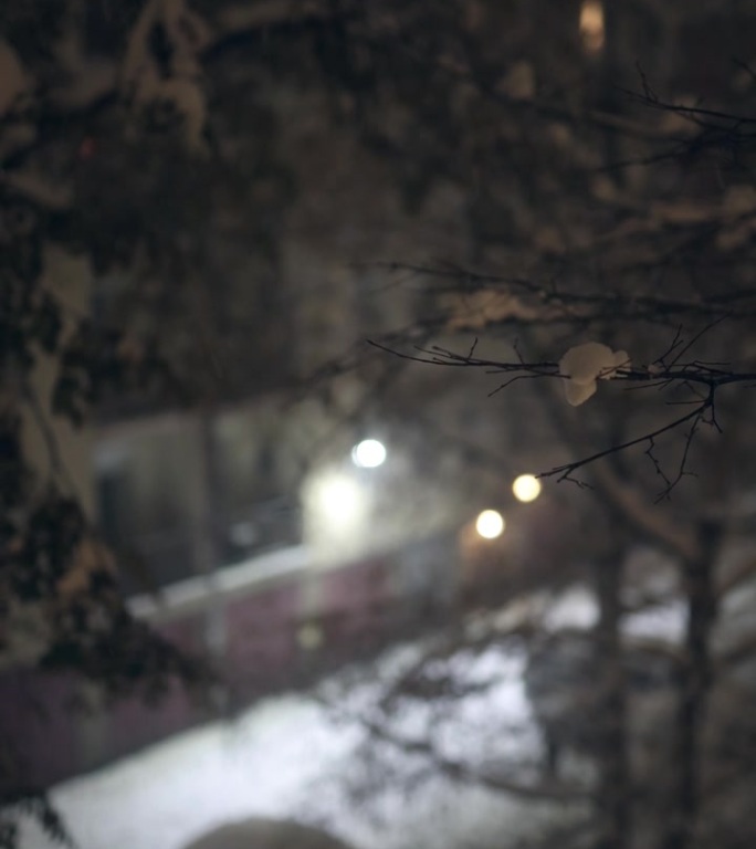 雪，夜，窗景