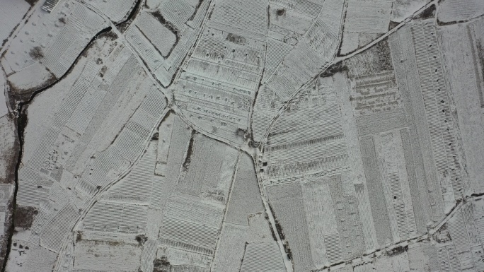 航拍雪后农田  雪景  大雪覆盖的田野