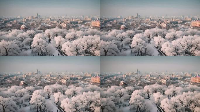 北京冬天雪景