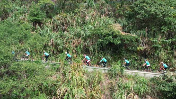 自行车队在上山进行爬坡训练