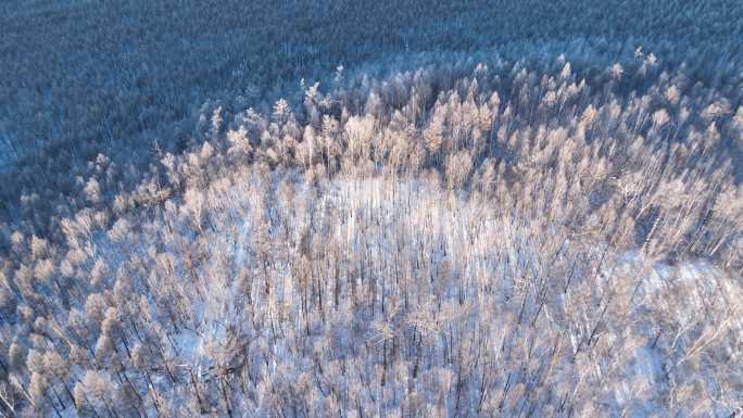 雪原森林雾凇航拍