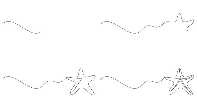 自绘制简单动画的一行海星设计轮廓。