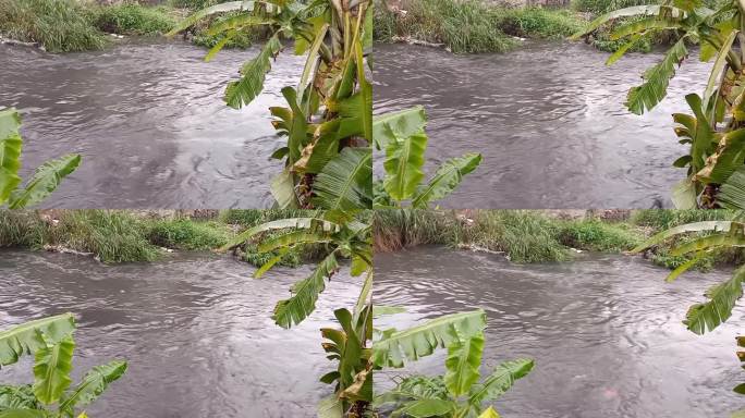 春天河水流量很大。快速的泥泞洪水运动。瀑布溅。