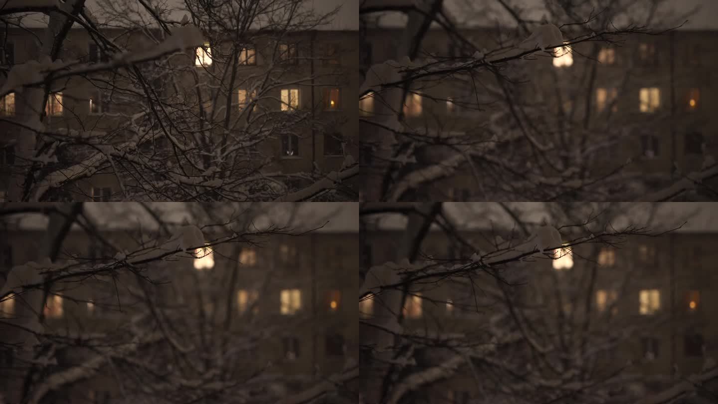 雪，夜，窗景积雪覆盖空镜树枝树干