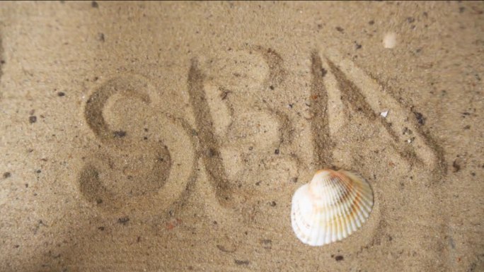 题海在沙上，在底部通过清澈的水，旁边的贝壳。