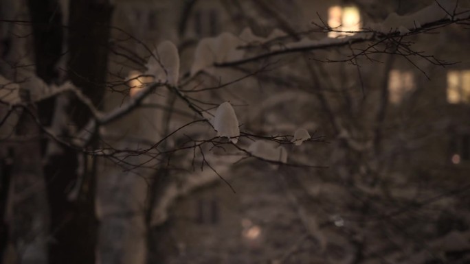 雪，夜，窗景