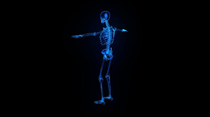 科技医疗人体骨架全息投影