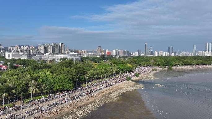 深圳湾公园人群散步游玩