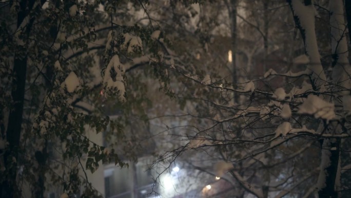 雪，夜，窗景