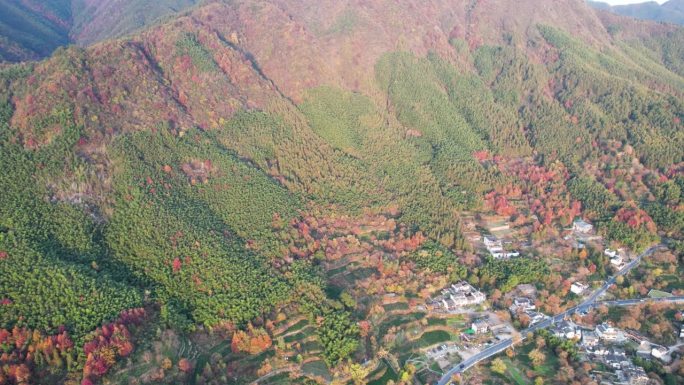 鸟瞰中国安徽宏村塔川古村落。无人机在晴朗的秋日俯瞰传统村庄，4k实时画面。