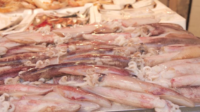 海鲜市场的柜台上摆放着大量不同的新鲜鱿鱼。海鲜市场