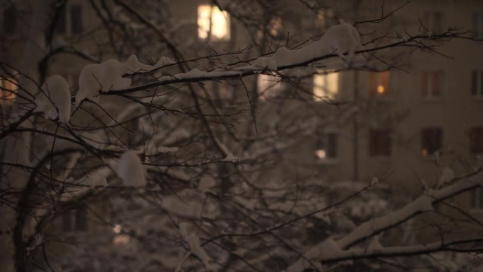 雪，夜，窗景