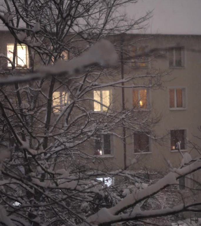 雪，夜，窗景