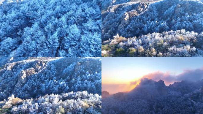 崂山雪景