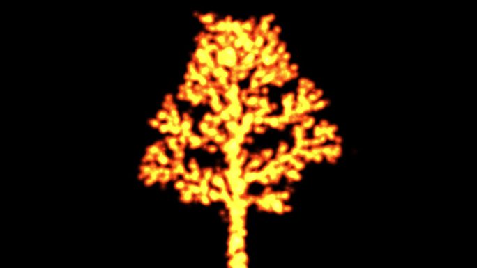 燃烧的火树运动图形与纯黑色背景